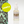 SAMPLE Frankincense Infused Jojoba Oil | Face Oil