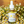 Chamomile Infused Jojoba Oil | Face Oil