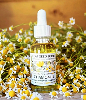 Chamomile Infused Jojoba Oil | Face Oil